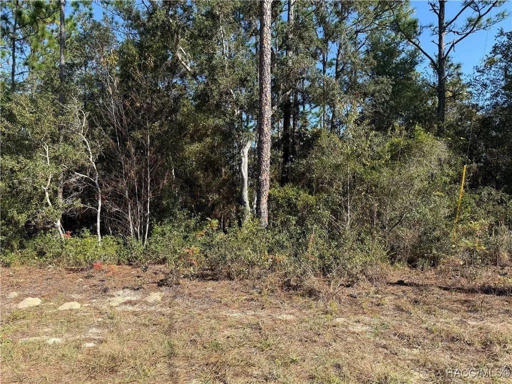 Lots & Land-Other in Citrus Springs - Citrus Springs, Florida, 34434