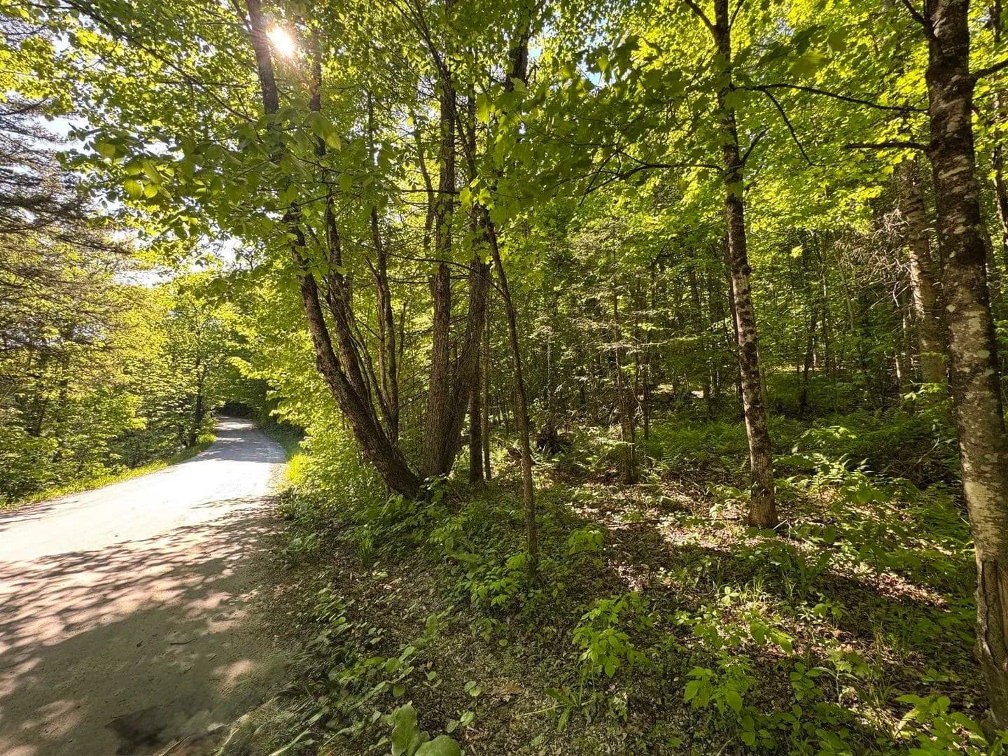 Property from 2800 Dugar Brook Road - KW - Calais, Vermont, 5648