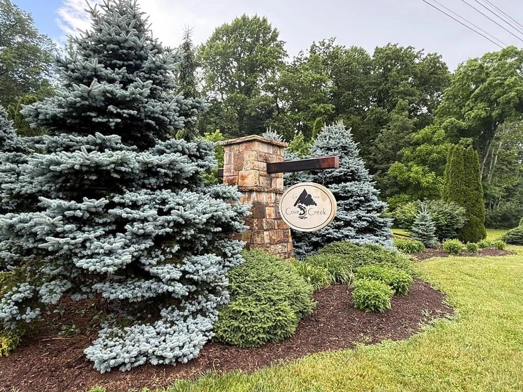 Property from TBD Cove Creek RD- State Route 662 #TBD - KW - Bastian, Virginia, 24314