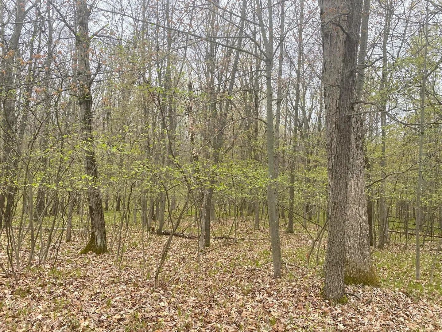 Lots & Land-Other in Canadian Lakes - Canadian Lakes, Michigan, 49346