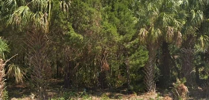 0.25 Acres of Land for Sale in HOMOSASSA, FL - Homosassa, Florida, 34446