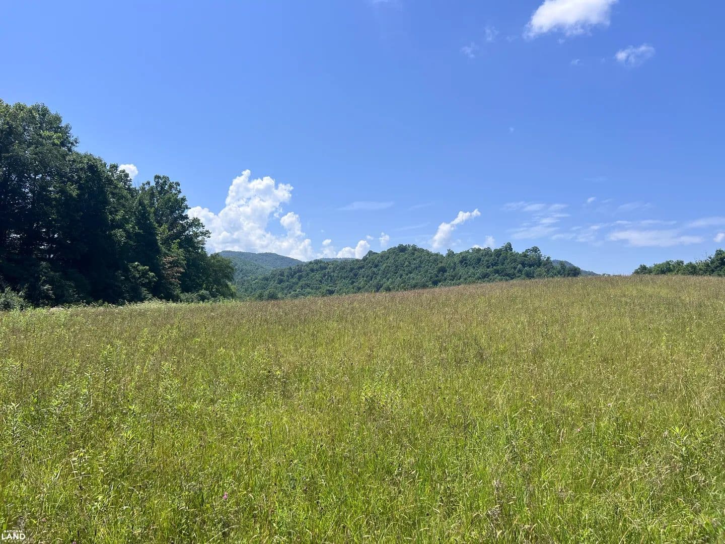Brimstone Creek Farm - Robbins, Tennessee, 37852