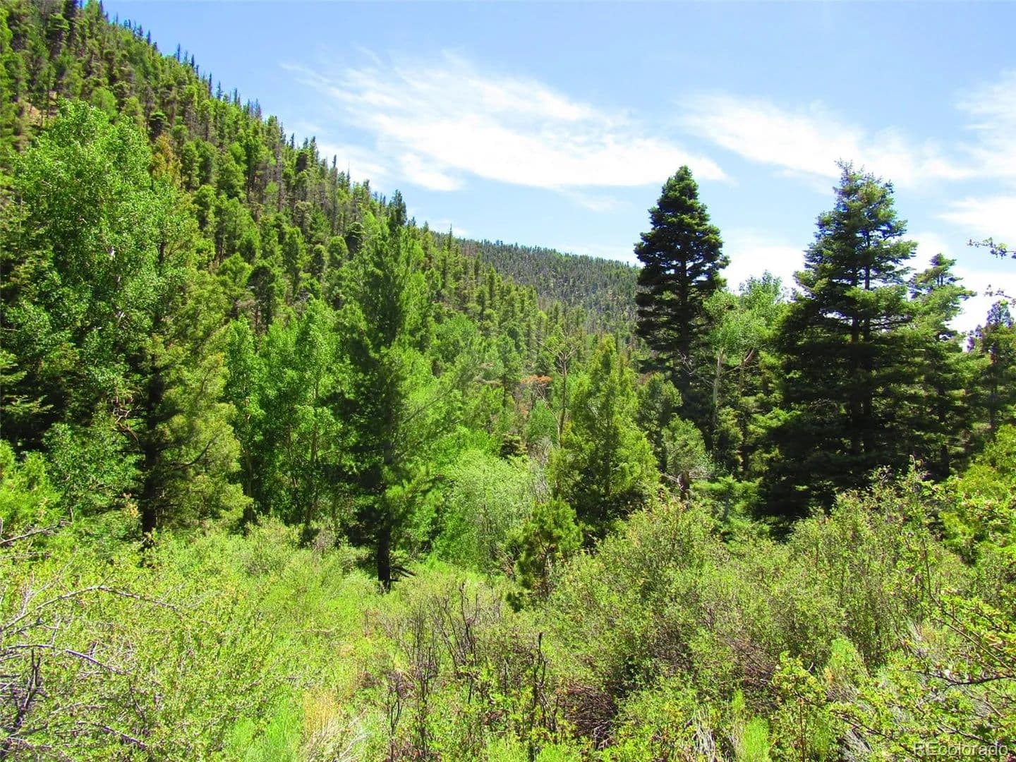 9.31 Acres of Land for Sale in Fort Garland, CO - Fort Garland, Colorado, 81133