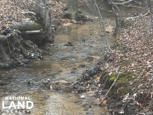Red Bay Timber and Recreation - Red Bay, Alabama, 35582