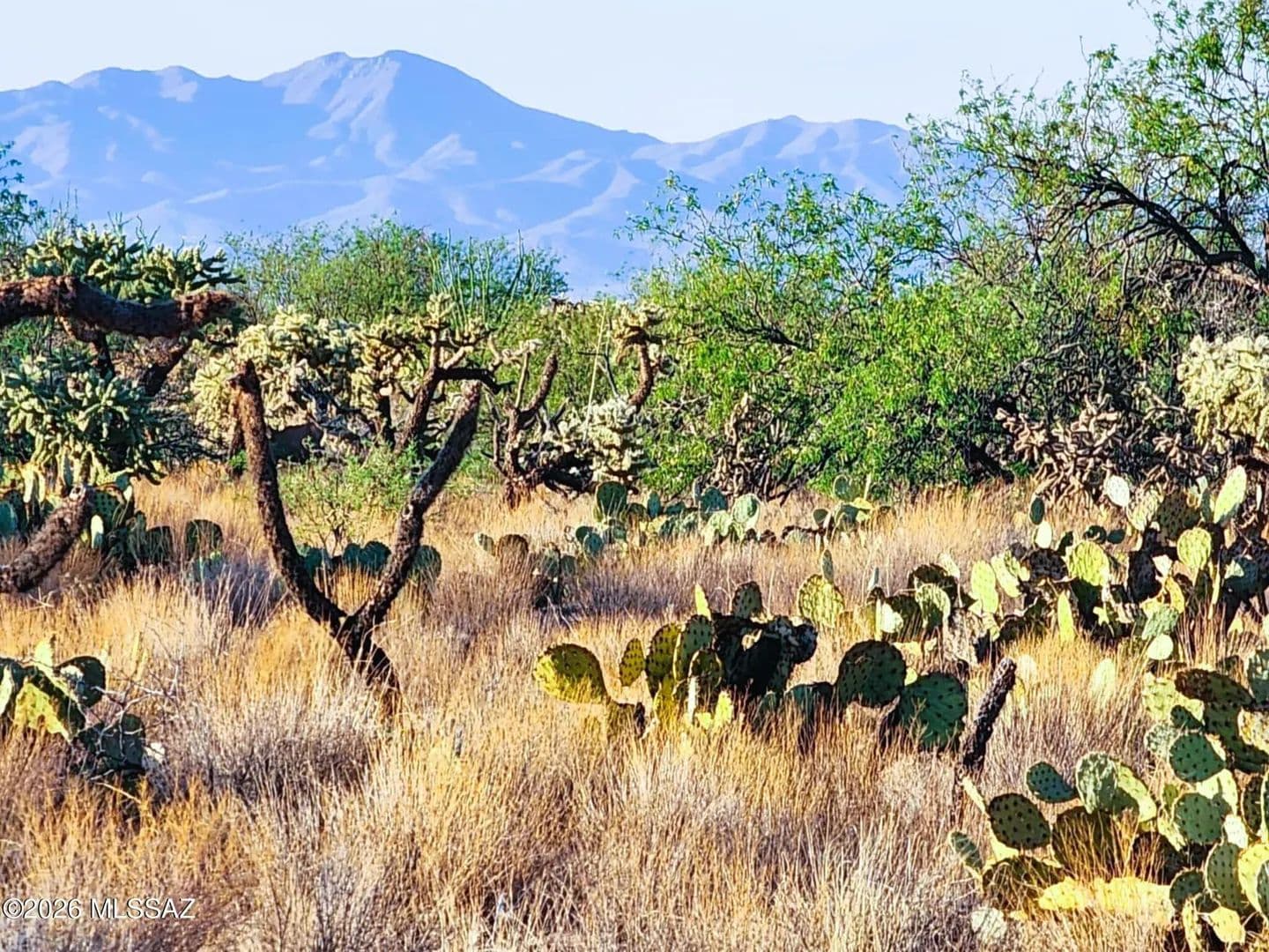 Vacant Land in Tucson - Tucson, Arizona, 85736