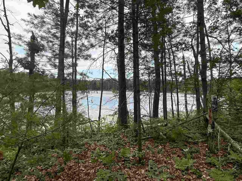 Property from Lot 27 S Perch Lake Drive - KW