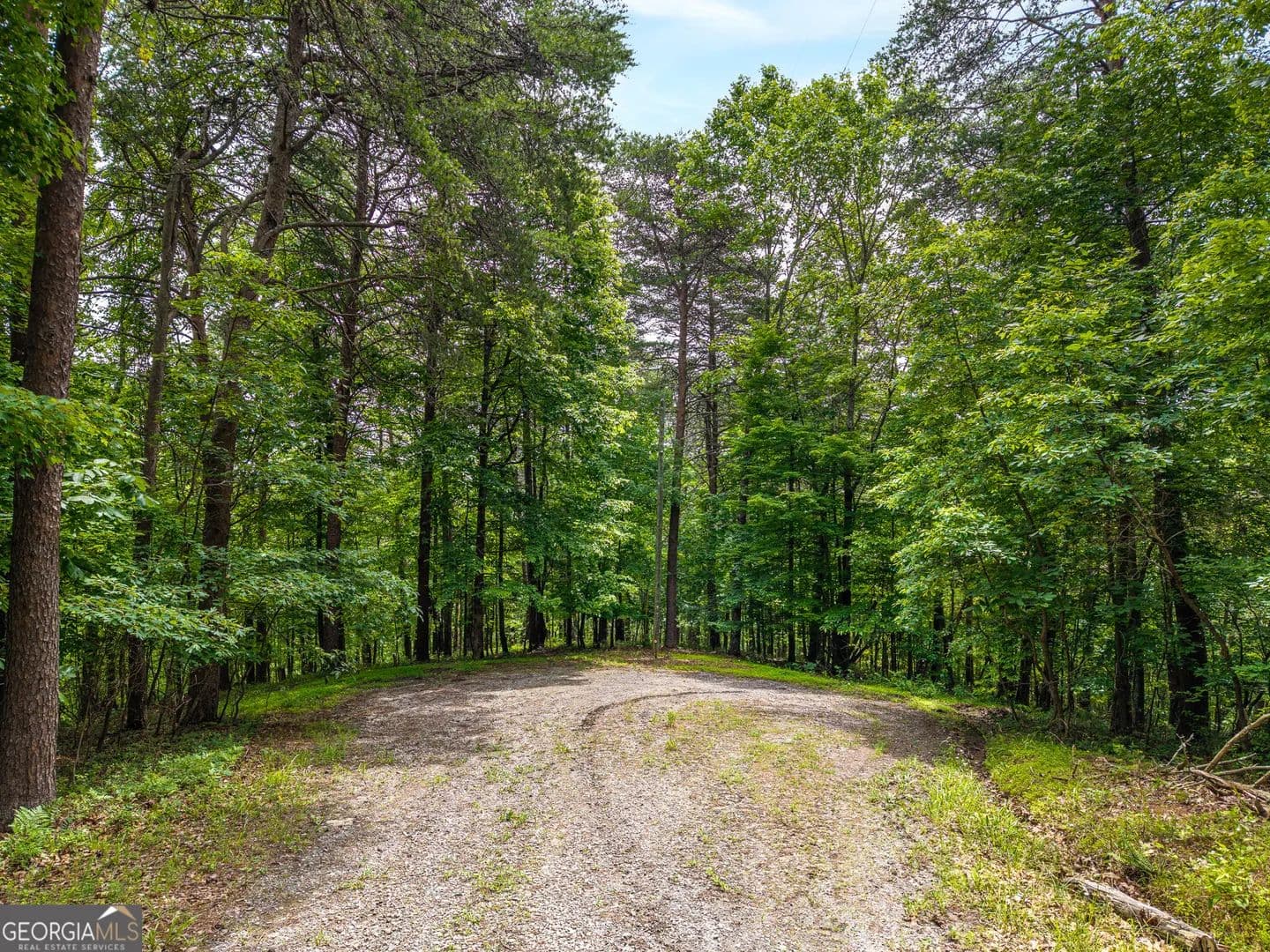 Property from 1331 Birch Lane NE - KW - Ranger, Georgia, 30734