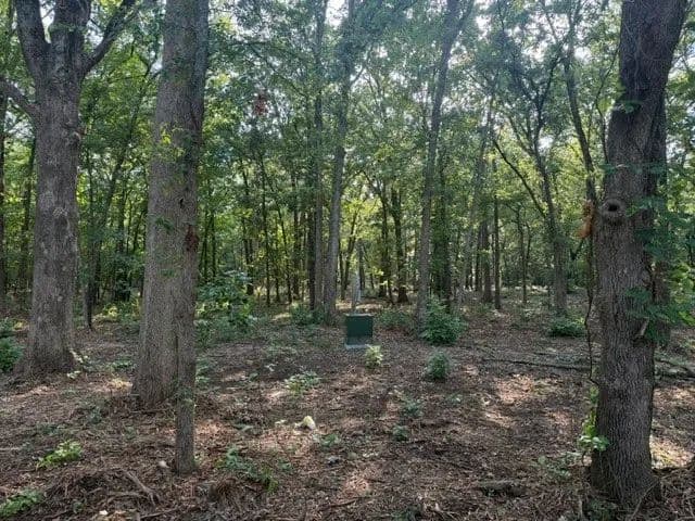 10 Acres of Land for Sale in Blossom, Texas - Blossom, Texas, 75416