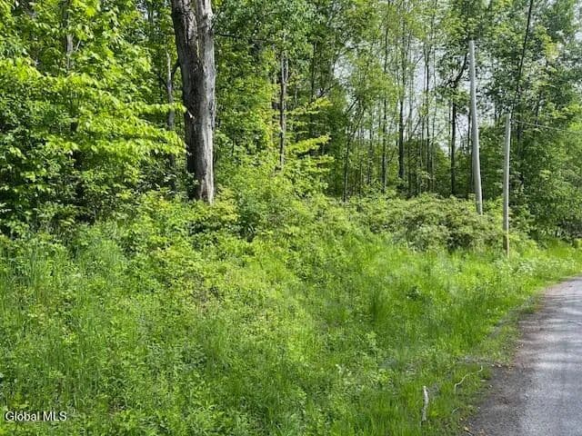 7.1 Acres of Land for Sale in Gilboa, New York - Gilboa, New York, 12076