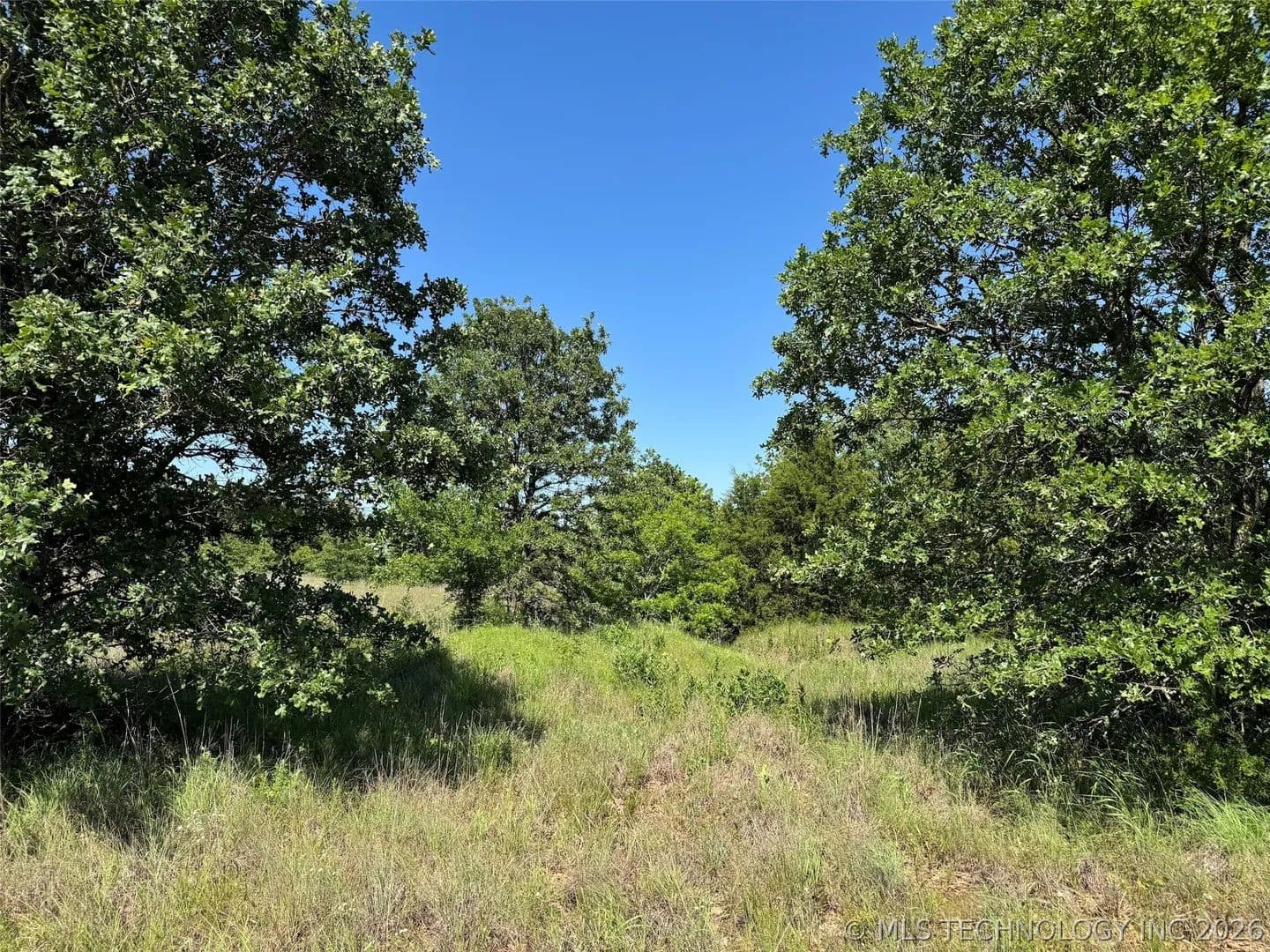 20 Acres of Land for Sale in Healdton, Oklahoma - Healdton, Oklahoma, 73438