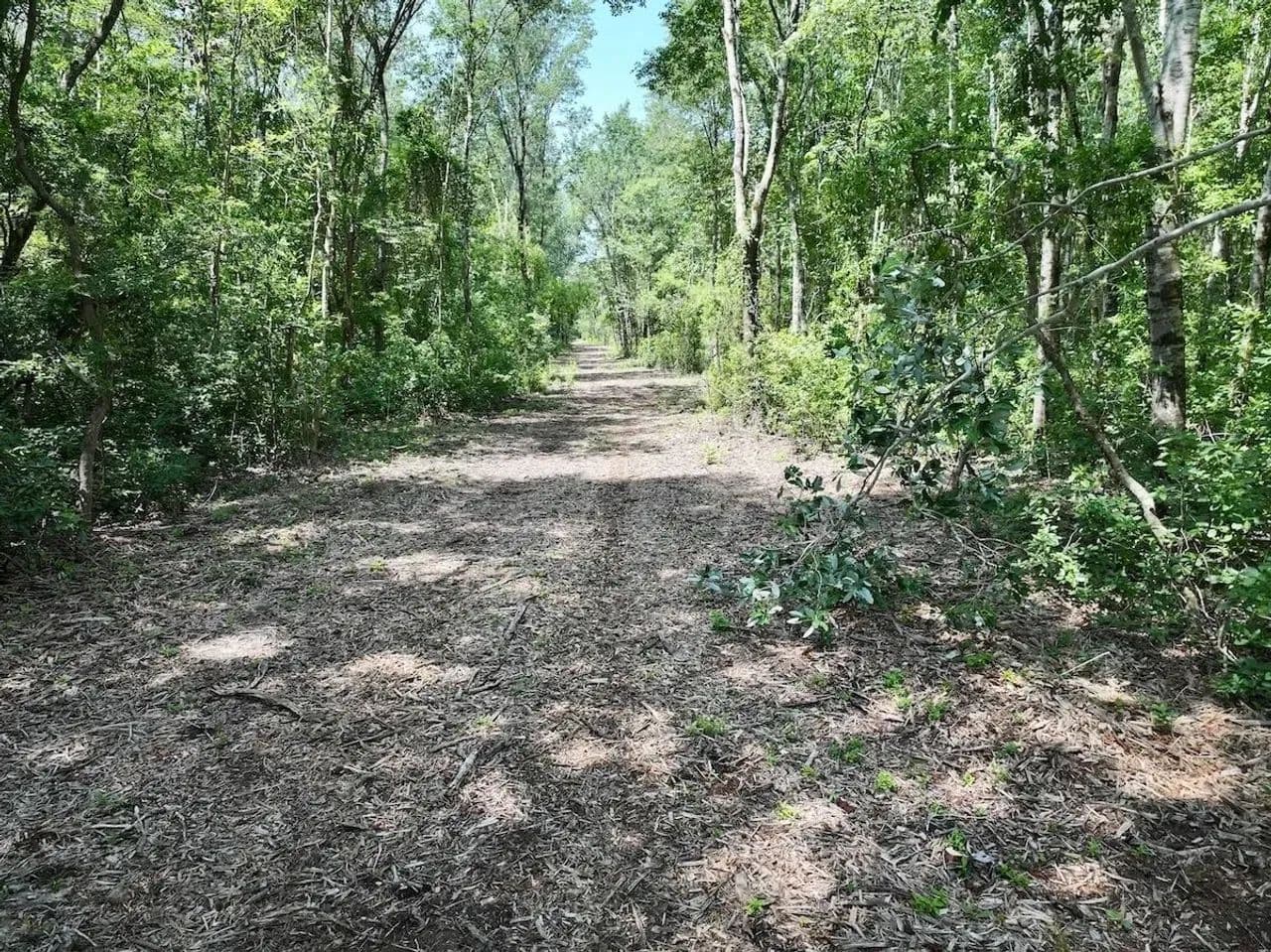 34.31 acres of Recreational Timberland For Sale in Craven County NC! - Ernul, North Carolina, 28527