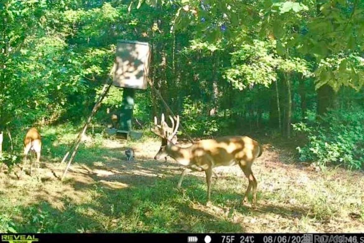 Property from 655 Oil Well Rd - KW - Lorman, Mississippi, 39096