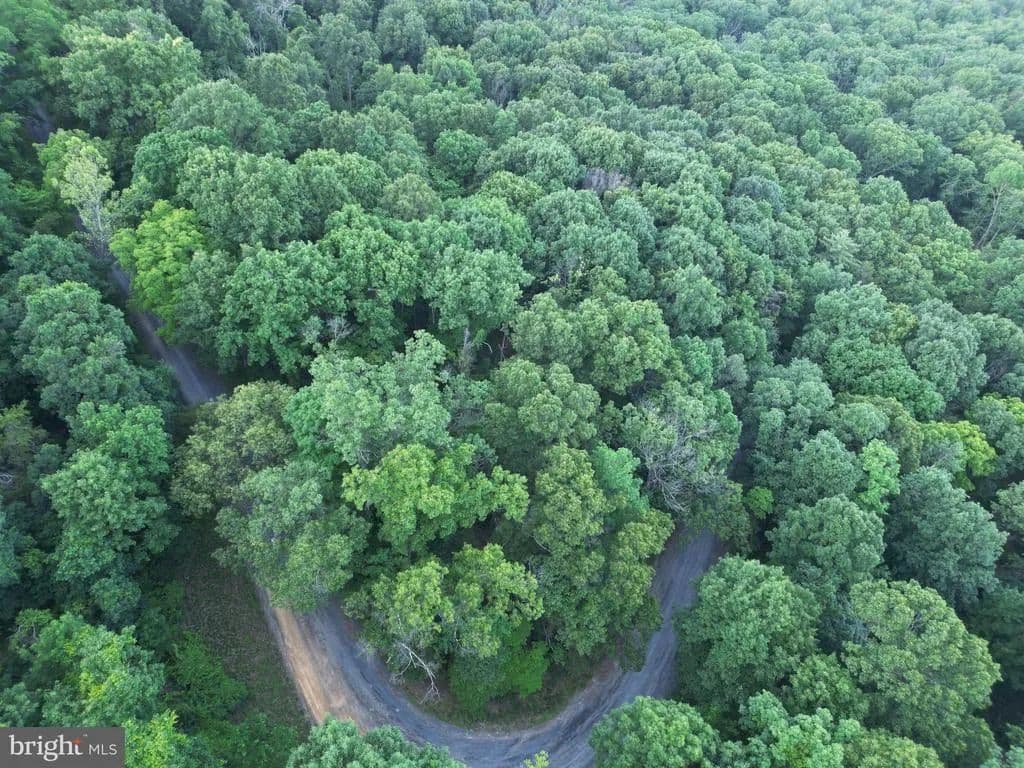 Property from TBD ROLLY RD - KW - Mount Jackson, Virginia, 22842