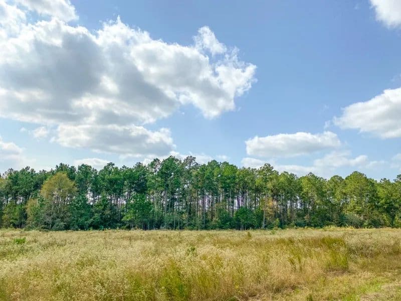 353 Acres | T-25 | Eliot