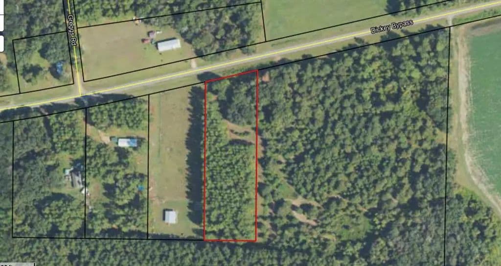 3 Acres of Land for Sale in Morgan, Georgia - Morgan, Georgia, 39866
