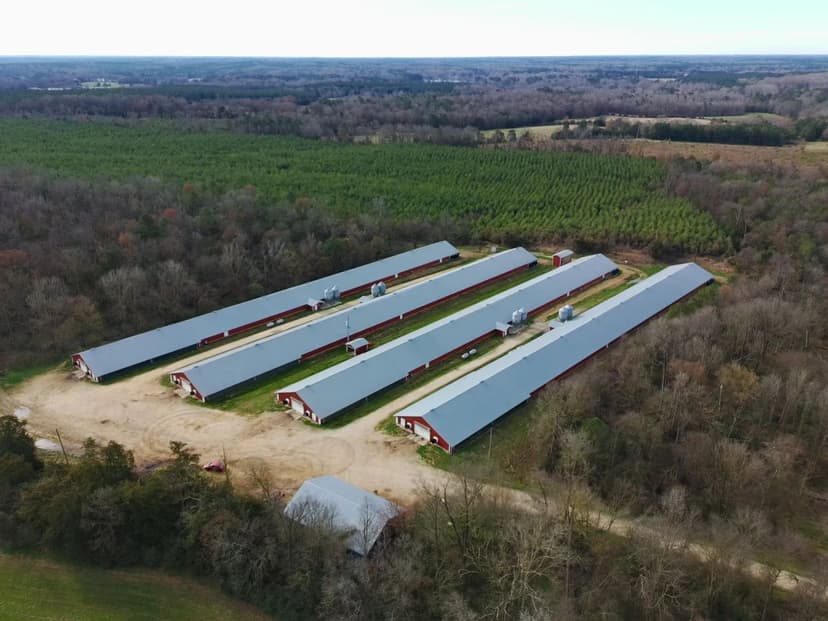 Nichols Broiler Farm – Four House Farm in Saluda County, South Carolina