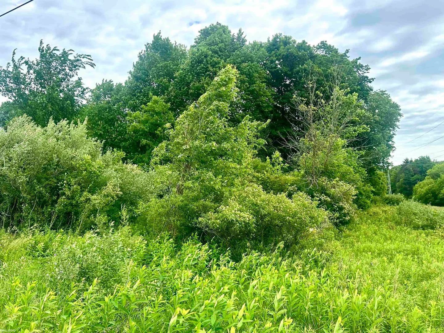 Property from VL BRAIDWOOD PARCEL 5 - KW - Riley, Michigan, 48041