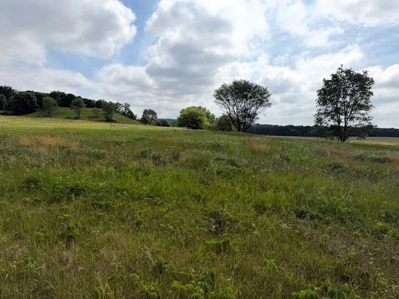 7.85 Acres of Land for Sale in Boyceville, Wisconsin - Boyceville, Wisconsin, 54725