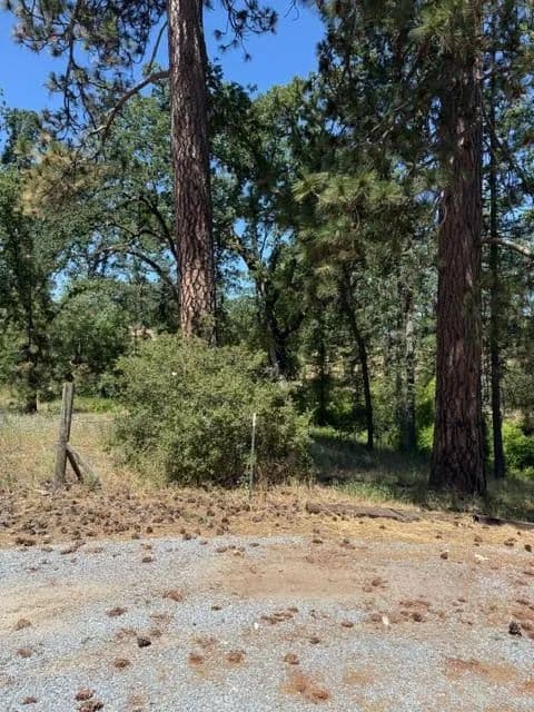 Property from 3764 Black Oak River Road - KW - Oakhurst, California, 93644