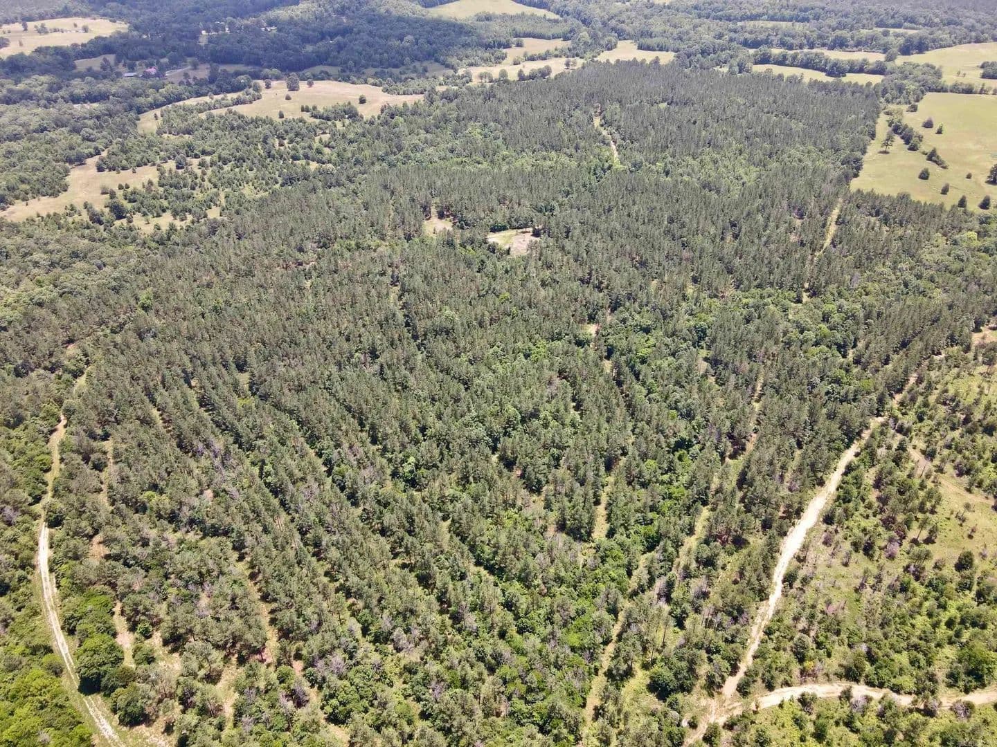 115.76 Acres of Land for Sale in Lonsdale, AR - Lonsdale, Arkansas, 72087