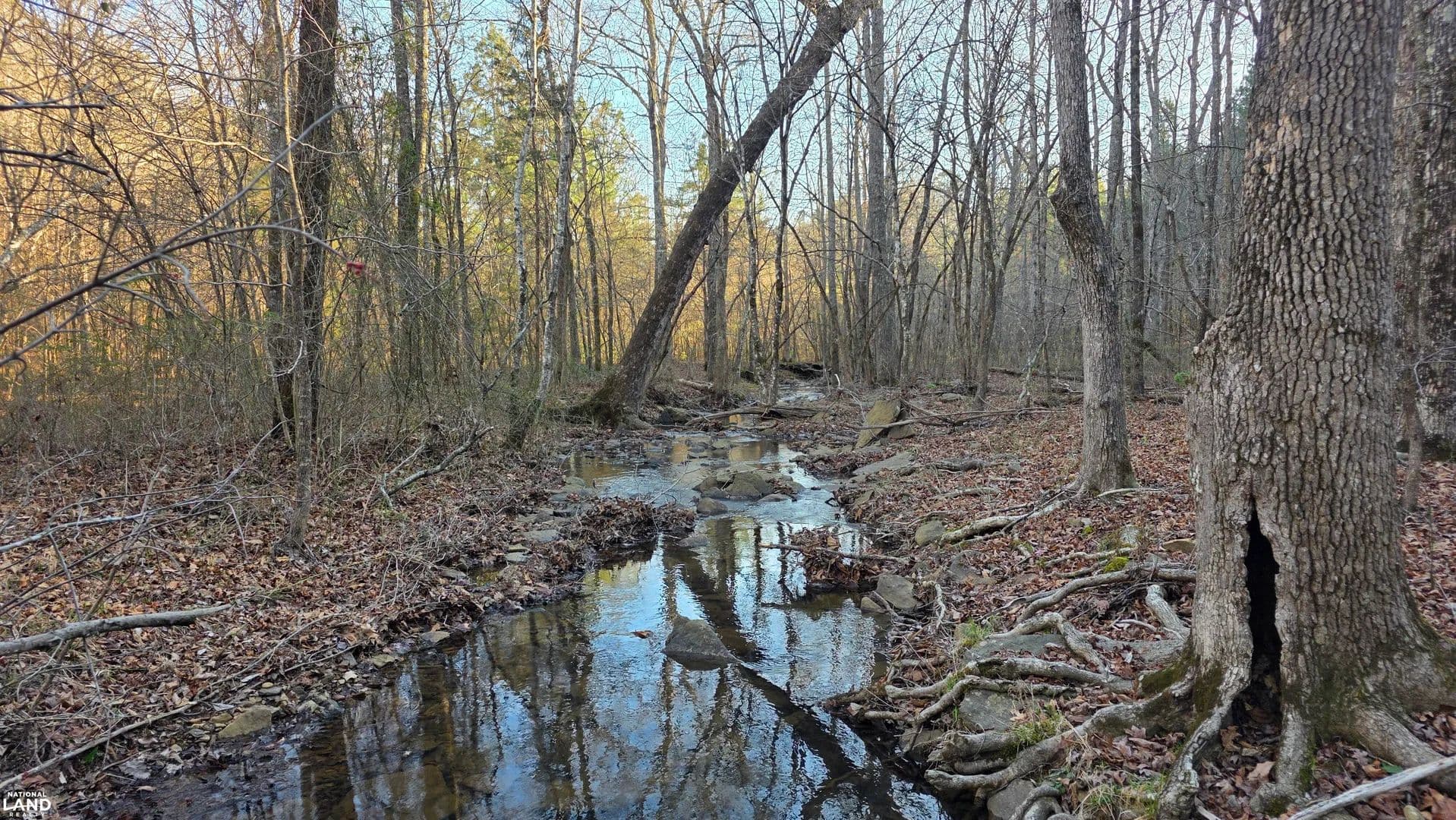 Timberland Investment and Recreational Property - Heber Springs, Arkansas, 72543