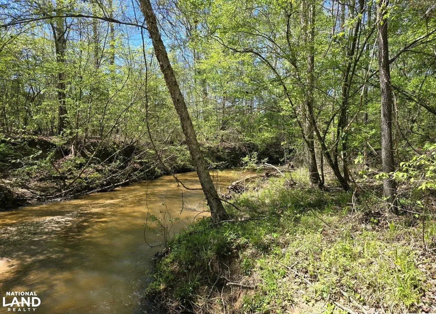 Hwy 82 Recreational - Maplesville, Alabama, 36750