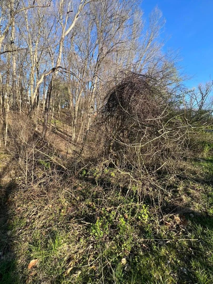 Vacant Land in Newark - Newark, Ohio, 43055