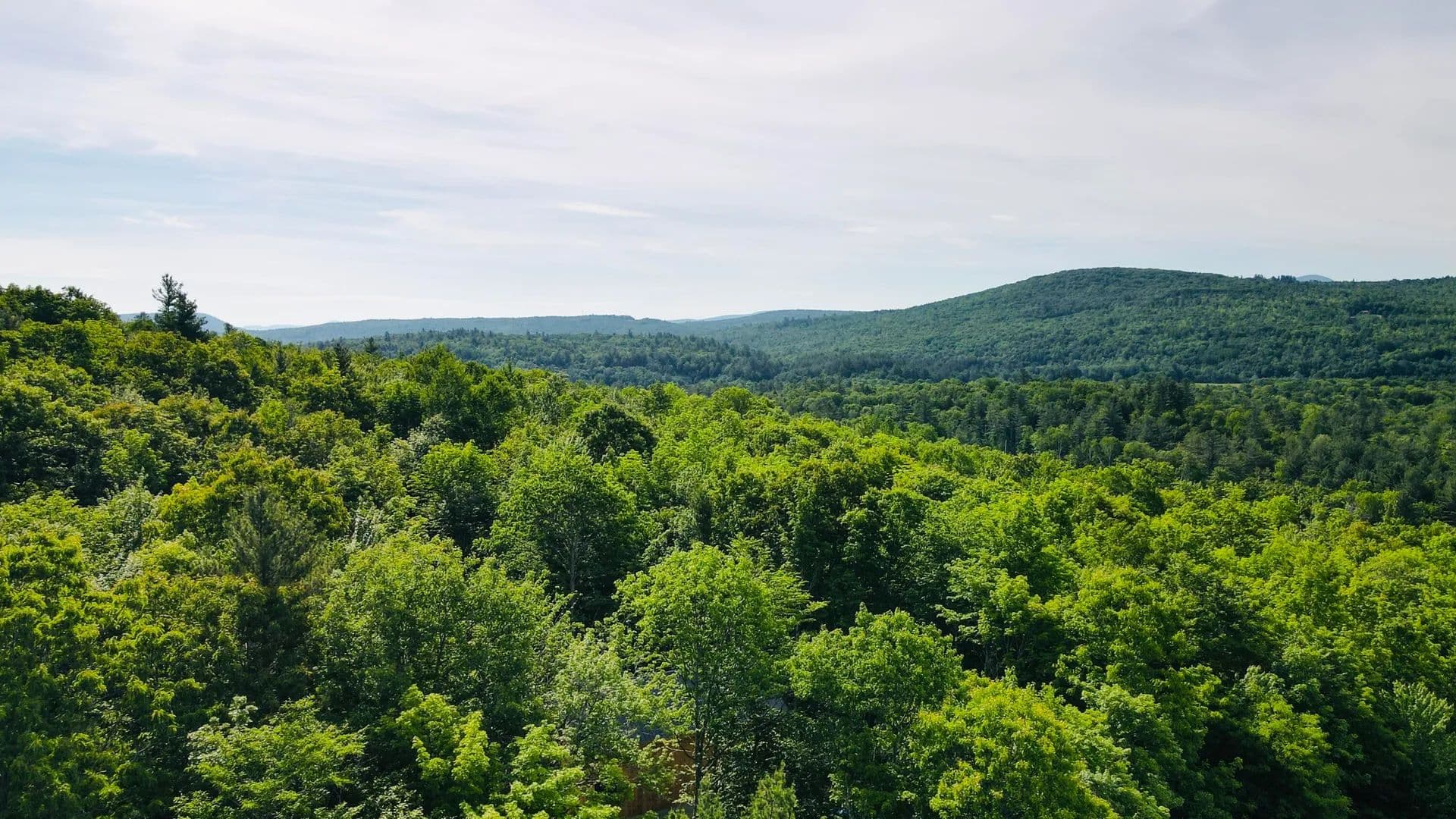 1.54 Acres of Land for Sale in Phillips, Maine - Phillips, Maine, 04970