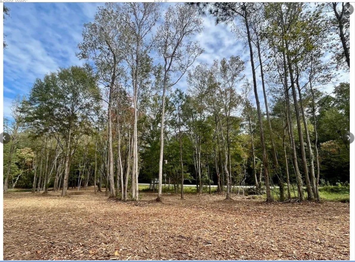4.13 Acres of Land for Sale in Conroe, Texas - Conroe, Texas, 77306