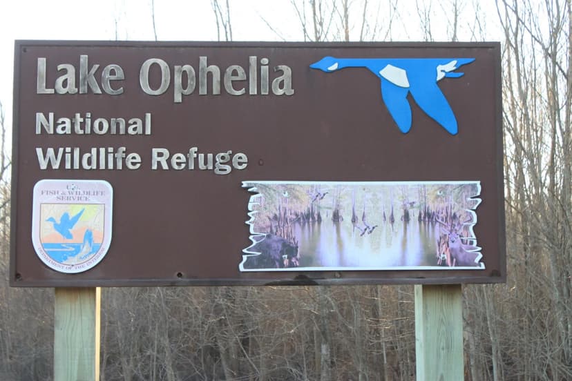 375 Acres in Avoyelles Parish, LA