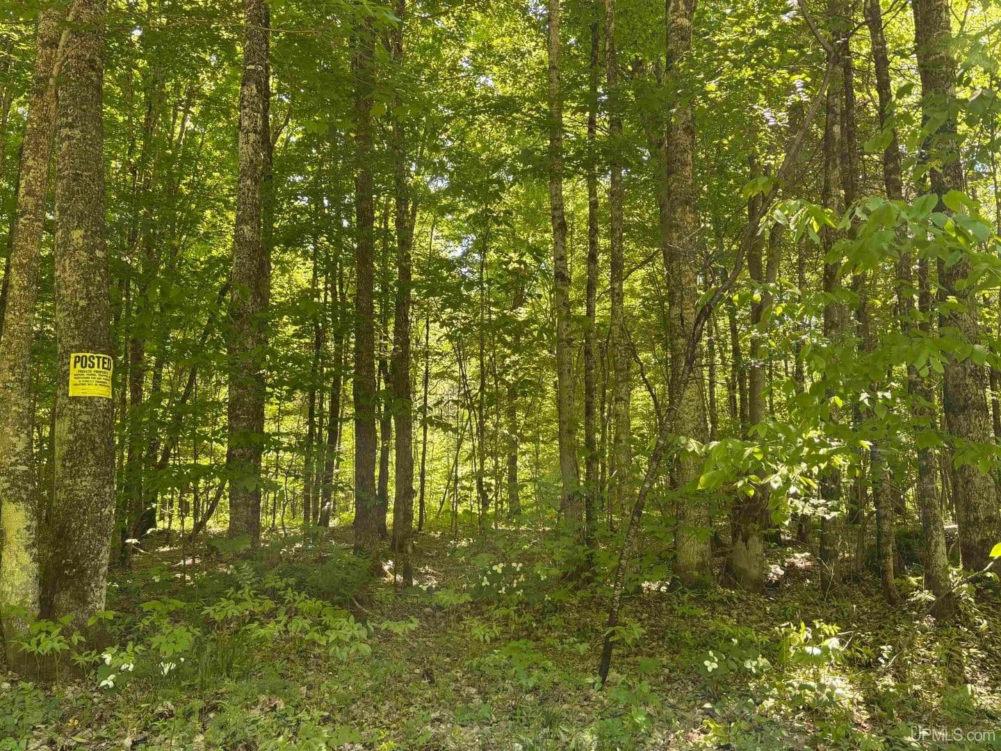 Property from TBD Osborn Dr - KW - Newberry, Michigan, 49868