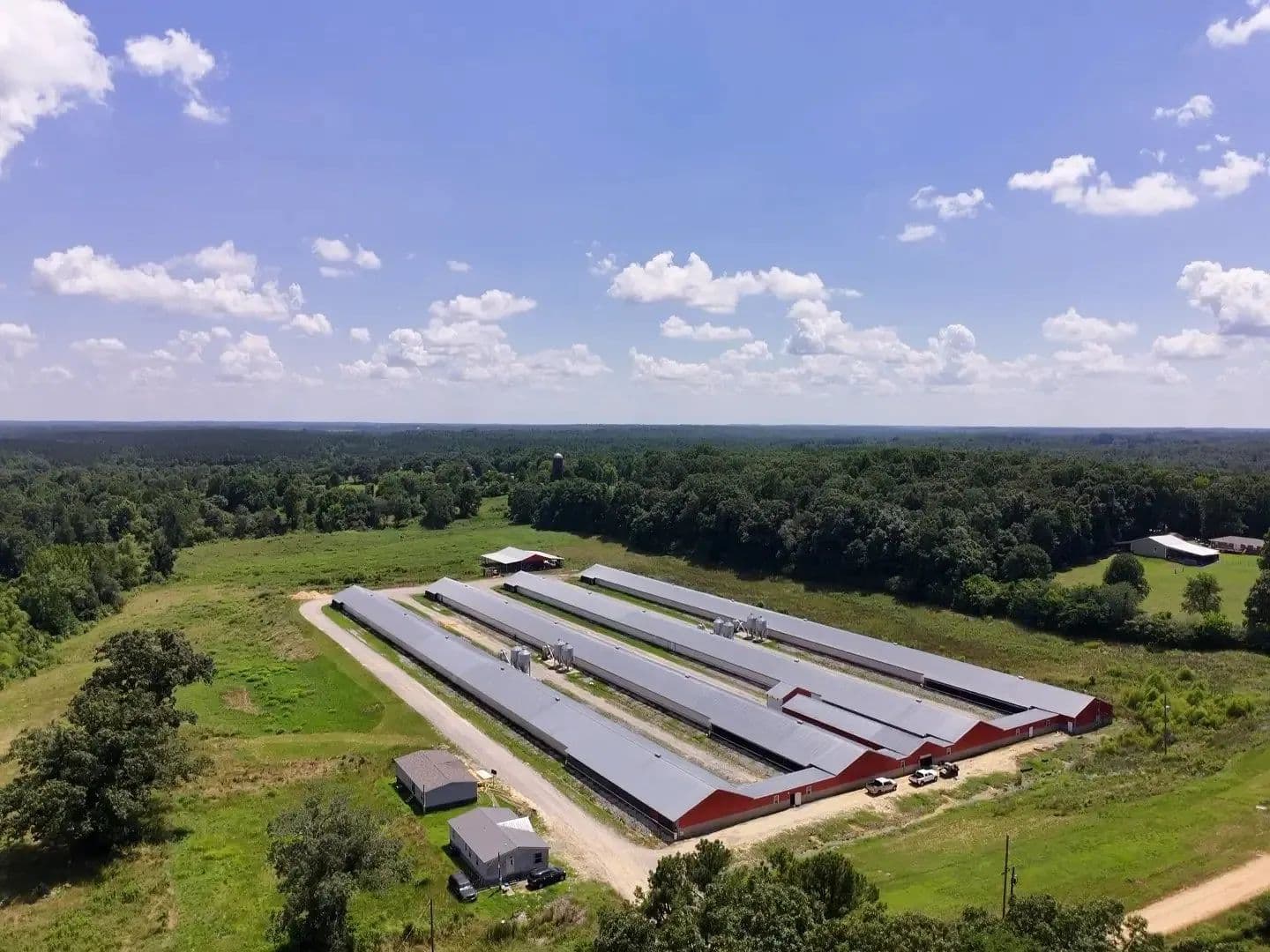 Mughal Breeder Farm – Four House Breeder Farm in Phil Campbell, Alabama - Phil Campbell, Alabama, 35581