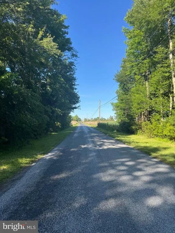 Property from LOTS 47 & 48 PICKERING BEACH ROAD - KW - Dover, Delaware, 19901