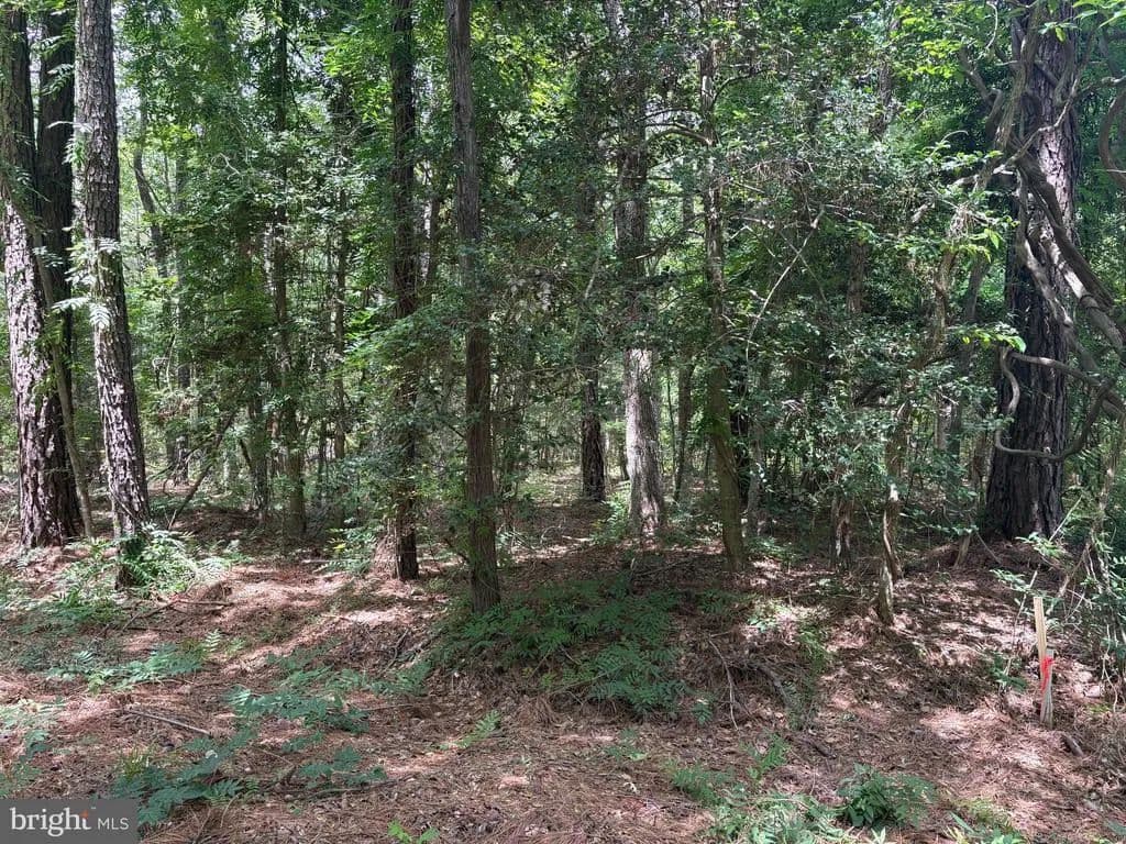 0.25 Acres of Land for Sale in HAGUE, VA - Hague, Virginia, 22469