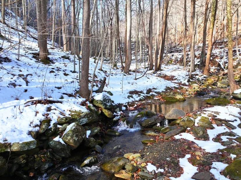 Switchback Ridge: 13+/- Acres of Creekside Mountain Land in Floyd County, VA