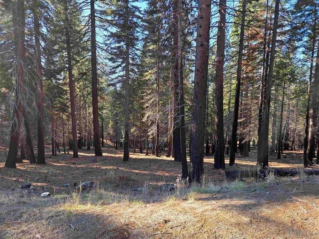 Vacant Land in Lake Almanor West - land for sale