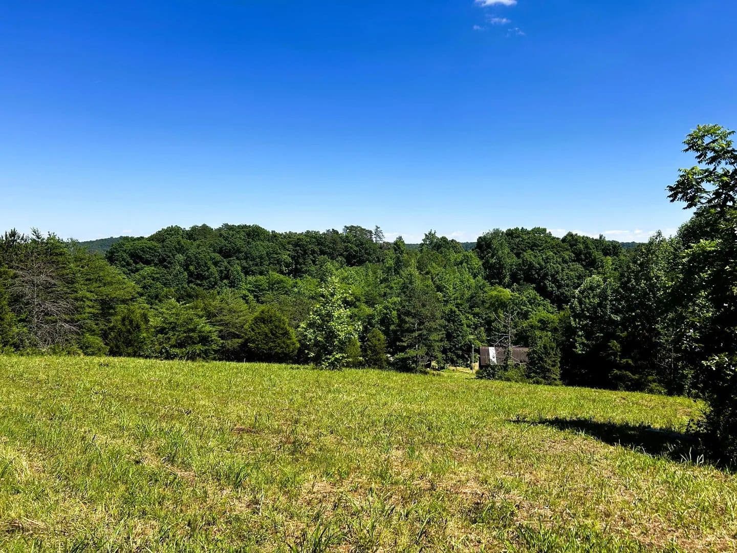 Property from 1060 County Road 130 - KW - Riceville, Tennessee, 37370