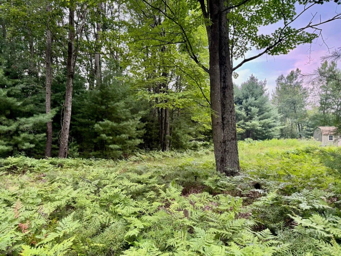Lots & Land-Other in Canadian Lakes - land for sale