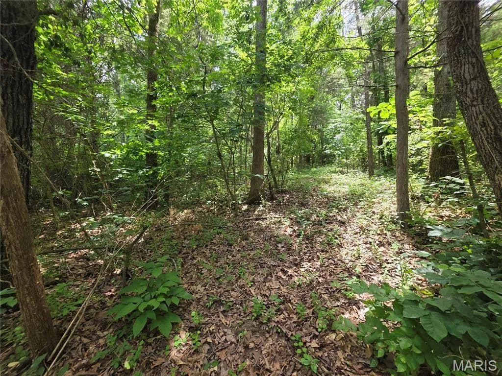 0.55 Acres of Land for Sale in Hillsboro, Missouri - Hillsboro, Missouri, 63050