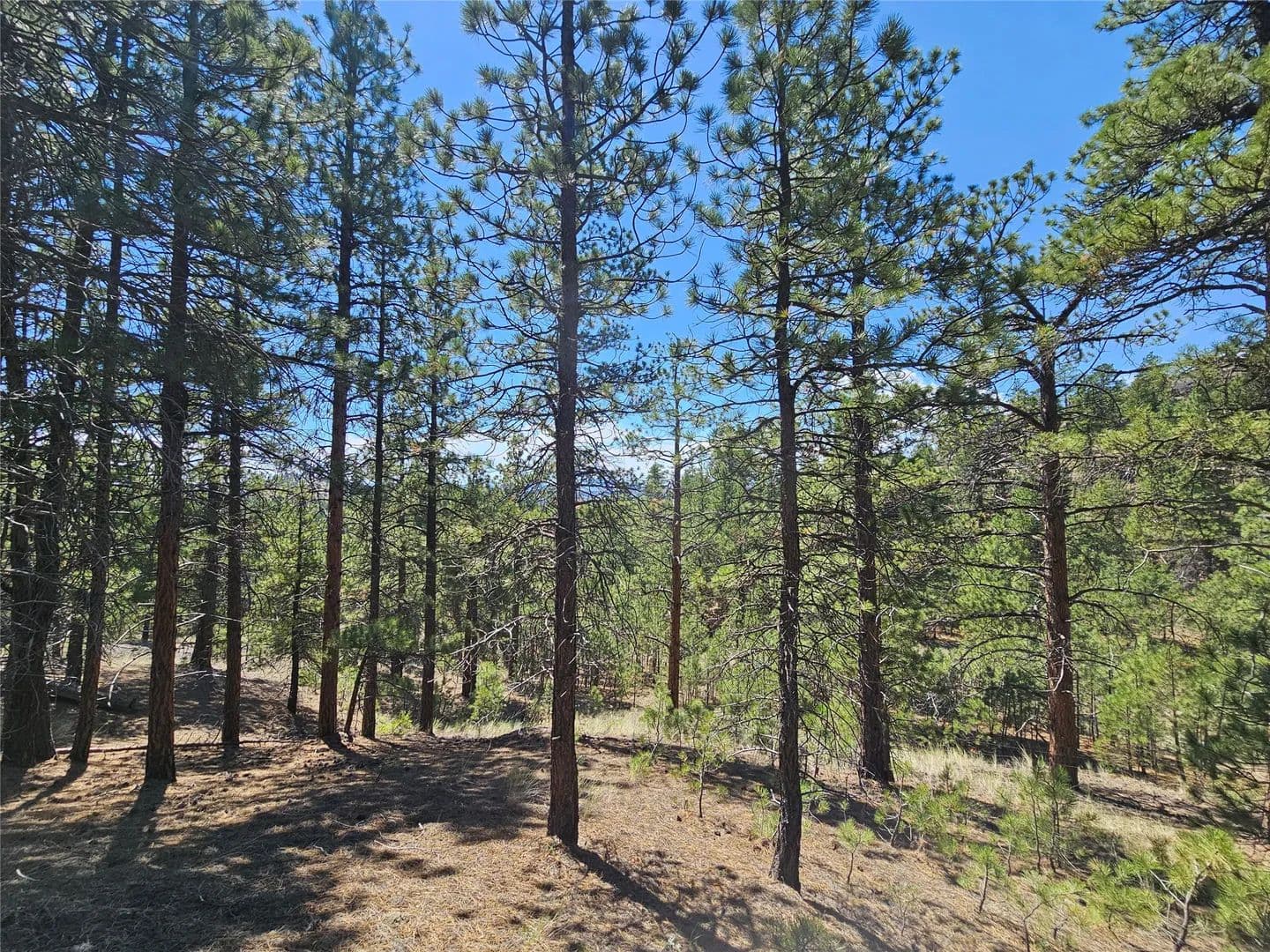 Property from NHN Upper Sawmill Creek Road - KW - Cascade, Montana, 59421