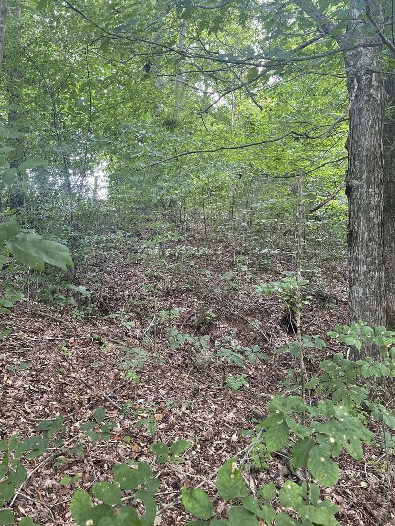 Lots & Land-Other in Lafayette - Lafayette, Tennessee, 37083