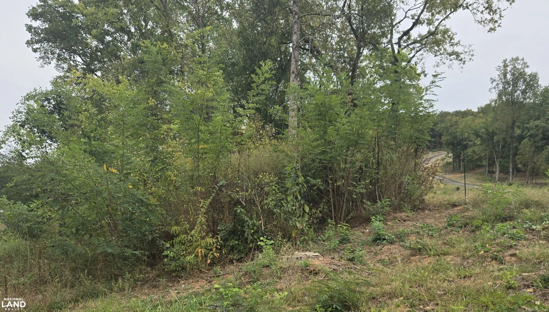 Pulaski Pike Possibilities - Huntsville, Alabama, 35810