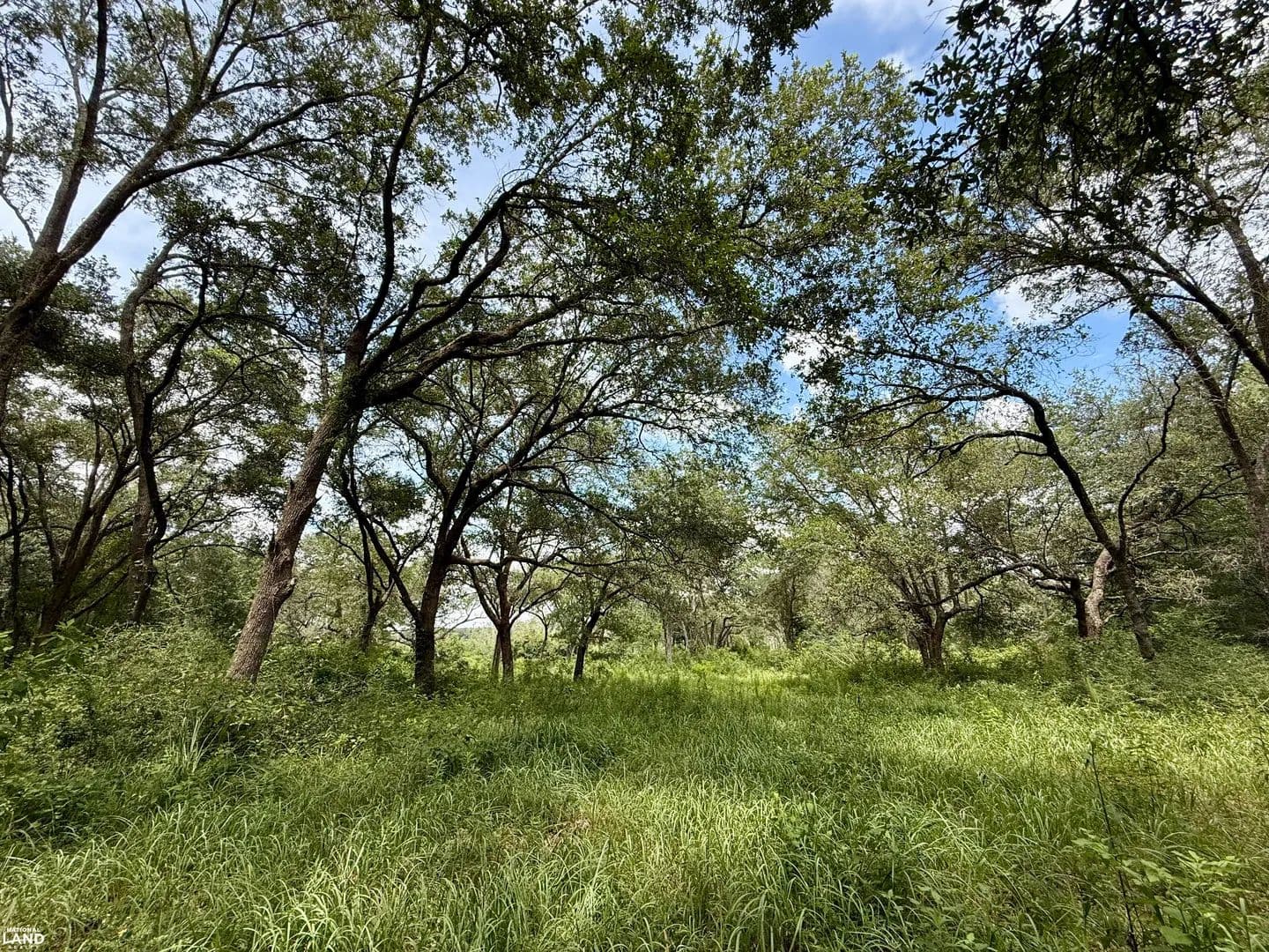 Grand Bay Interstate-10 Reedy Branch Muti-Use Acreage - Grand Bay, Alabama, 36541