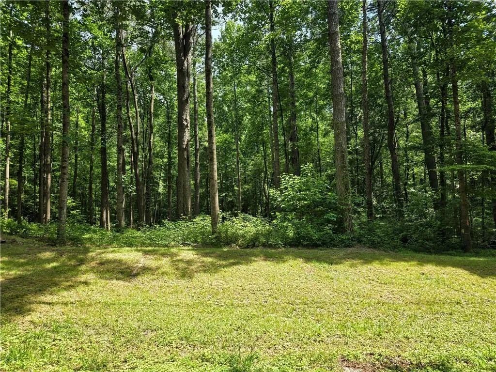 Property from 5 Lots Rome St. & Driver St. - KW - Temple, Georgia, 30179