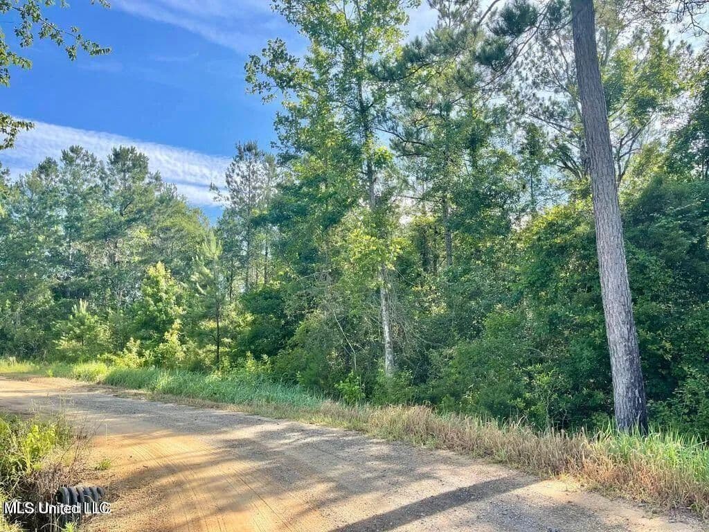 Lots & Land-Other in Leakesville - Leakesville, Mississippi, 39451