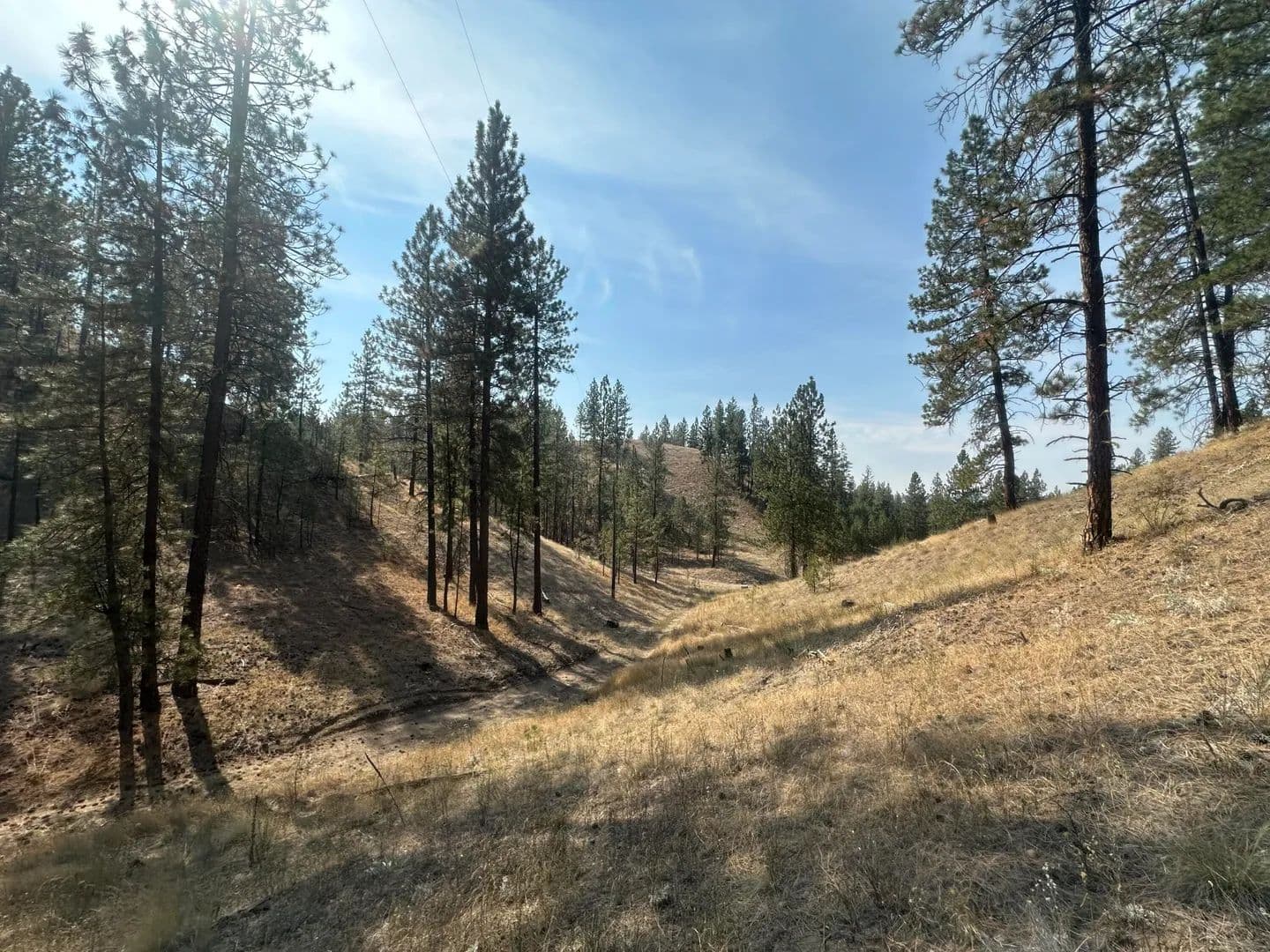 Property from 5699 C HWY 231 - KW - Ford, Washington, 99013