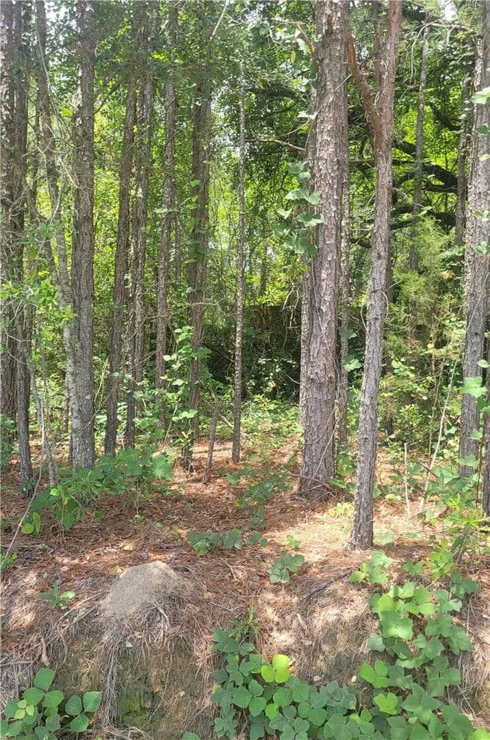 Property from 01 O. B. BROWN Road - KW - Auburn, Alabama, 36830
