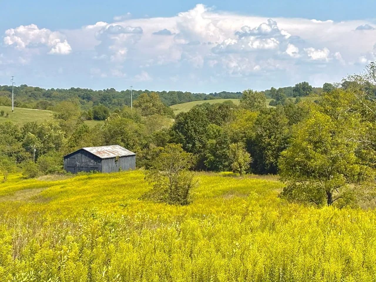 Absolute Auction – 324.5+/-Acres in 7 Tracts - Sadieville, Kentucky, 40370