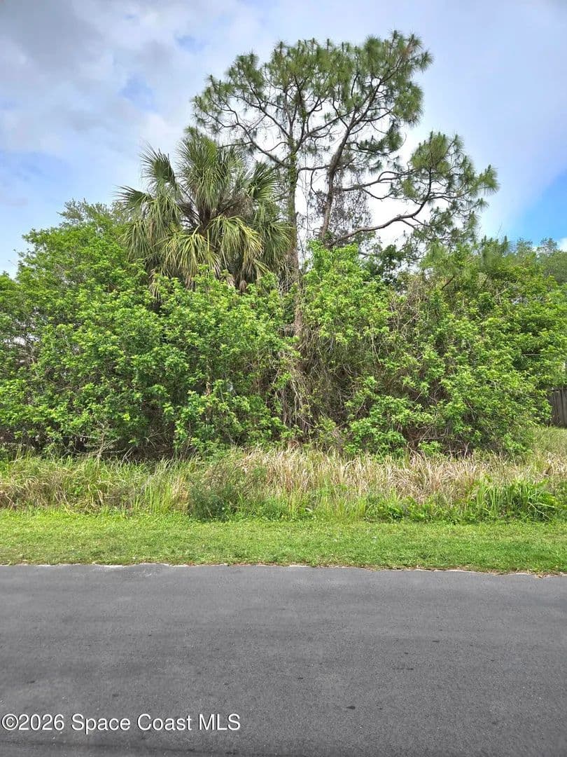 Vacant Land in Palm Bay - Palm Bay, Florida, 32908