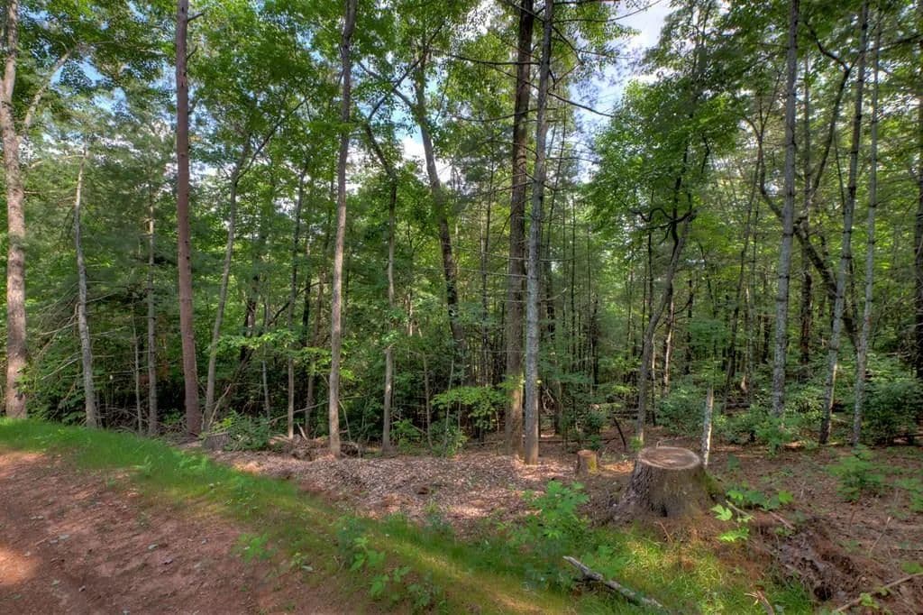Property from 00 Sugar Creek Road - KW - Blue Ridge, Georgia, 30513